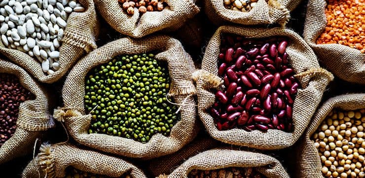 Properties of beans