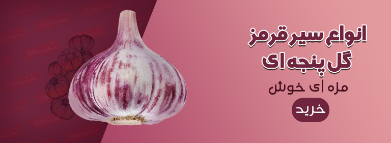 11خواص سیر ترشی اصل !