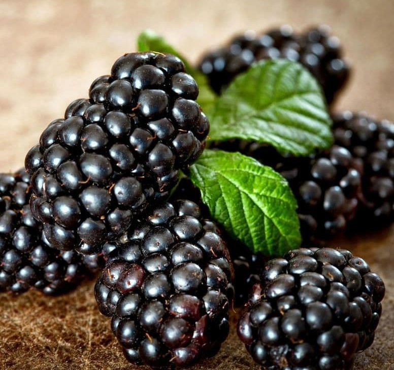Raspberry