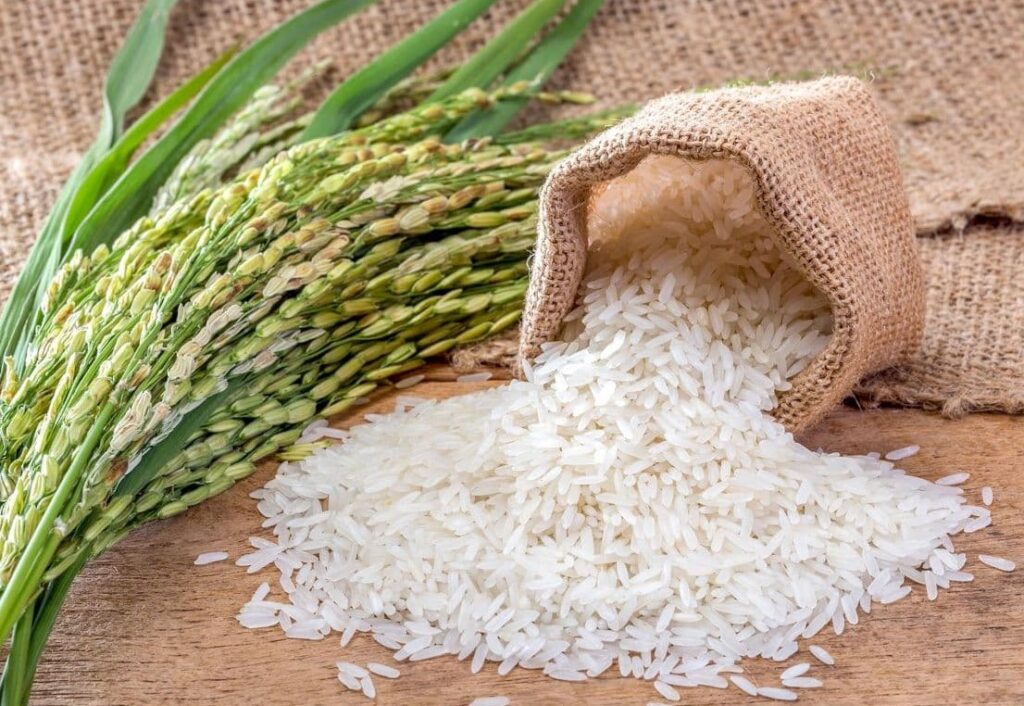 جلوگیری از حشره زدن برنج Rice storage