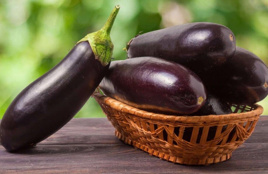 Eggplant