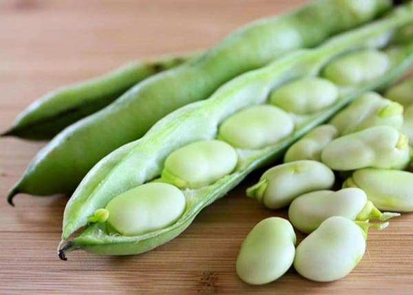 طرز تهیه ترشی باقالا 2 طرز تهیه ترشی باقالا