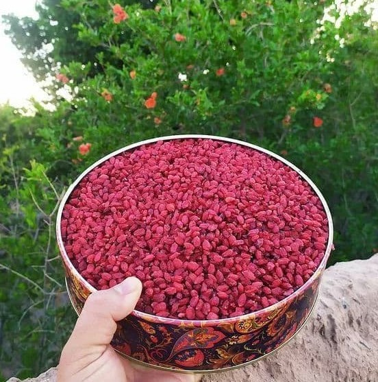 طرز تهیه ترشی زرشک با رب انار 4 طرز تهیه ترشی زرشک