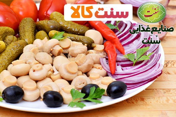 خرید زیتون