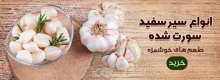 طرز نگهداری سیر خام 1 روش عالی