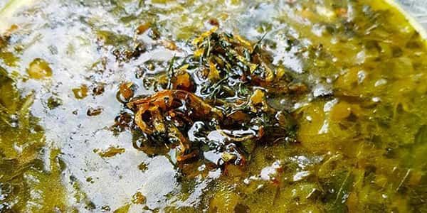 طرز تهیه آش اوماج اصفهانی